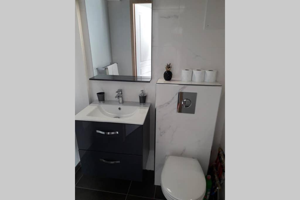 Logement Neuf De 40 M², Equipe Et Confortable Croix-Chapeau Buitenkant foto